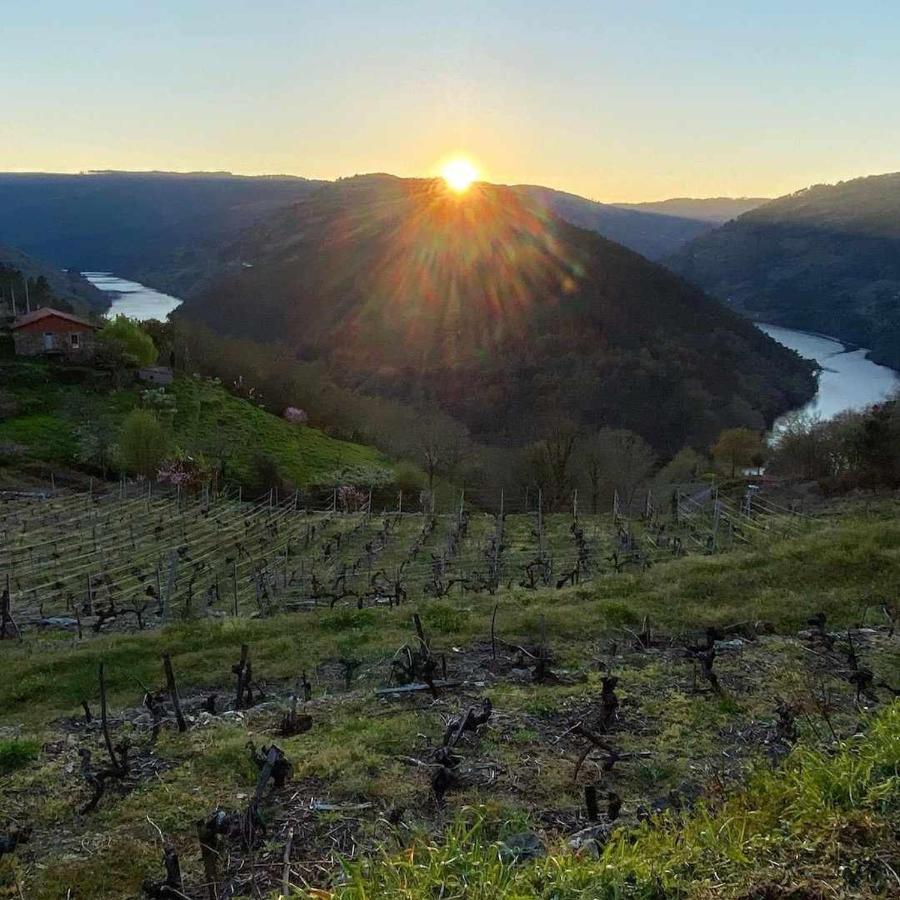 Casa Das Xacias Ribeira Sacra A Airoa  Dış mekan fotoğraf